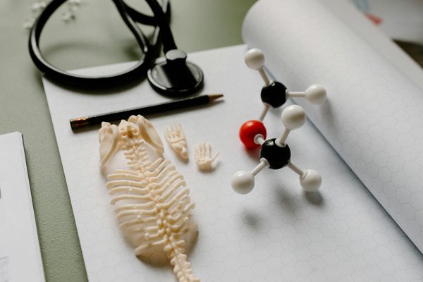 Solutions intelligentes pour vos besoins de snus sans tabac